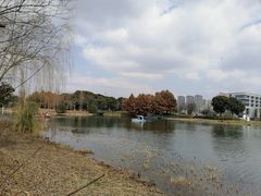 -尚贤河湿地
