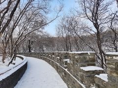 -北陵公园