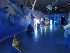 -烟台海昌鲸鲨海洋公园