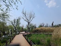 -捞渔河湿地公园