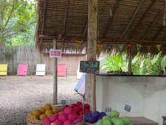 -大象粑粑造纸公园