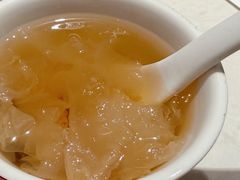 -杨氏青龙虾·羊蝎子(托乐嘉店)