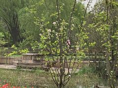 -昆山城市生态森林公园