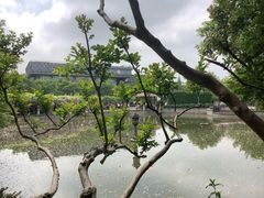 -嘉定紫藤园