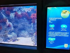 -福州罗源湾海洋世界旅游区