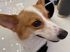 -义乌之心城市生活广场