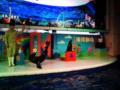 -成都浩海立方海洋公园