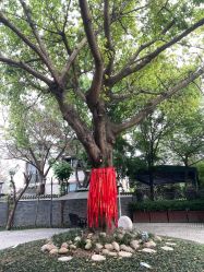 -莲生母婴月子中心(清水河公园店)