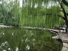 -玲珑塔公园