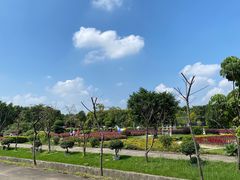 -广东花都香草世界旅游度假区