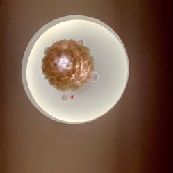 -奥丽维娅美容养生会所