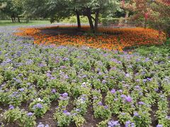 -黑龙江省森林植物园