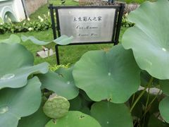 -龙环葡韵住宅式博物馆