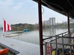 -飞来湖湿地公园