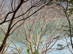 -羚羊峡古栈道森林公园