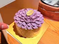 -布歌东京(合生汇店)