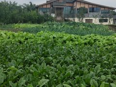 -驿舍·民國老营房院子私房菜(科学会堂店)