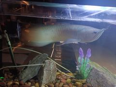 -水立方国际汤泉(六一中路店)