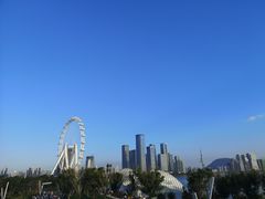 -宝安西湾红树林湿地公园