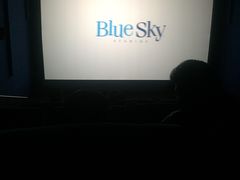 -奥斯卡升龙国际影城(RealD Cinema)