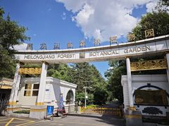 -黑龙江省森林植物园