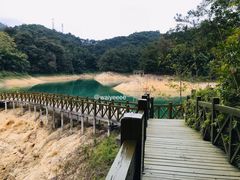 -广州市流溪河国家森林公园