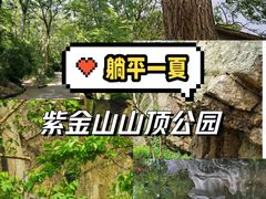-紫金山山顶公园