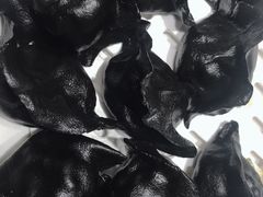 -添福来墨鱼饺子 · 海鲜东北菜(大连星海·黄浦路店)