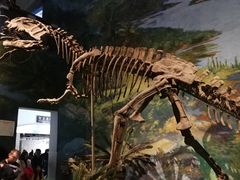 -自贡恐龙博物馆