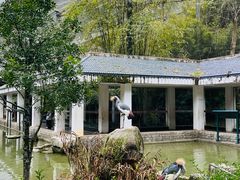 -黔灵山公园-南门售票处