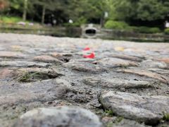 -庐山风景区花径公园
