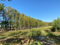 -东郊湿地公园