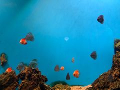 -海合安武汉极地海洋公园