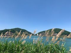 -长沙黑麋峰国家森林公园