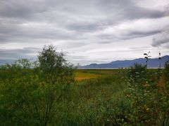 -野鸭湖国家湿地公园