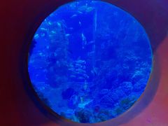 -海合安青岛极地海洋公园