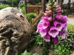 -熙古里艺术村