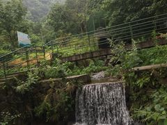 -藏龙百瀑风景区