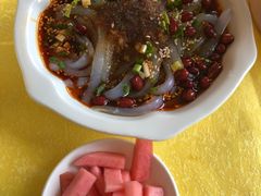 -胖大姐黄辣丁鱼庄(新津店)
