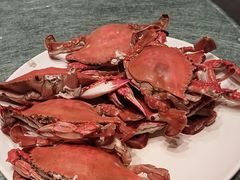 -凤凰园烤鸭店·唐山菜·传承花椒肉(老唐丰路店)