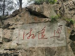 -泰山风景名胜区