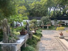 -上海醉白池公园