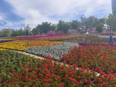-沈阳植物园