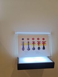 -史云逊养发护发