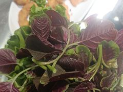 -亮欢寨快活林 酸汤鱼(仁怀店)
