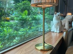 靠窗位-咖法森林·咖啡  酒吧(天河店)