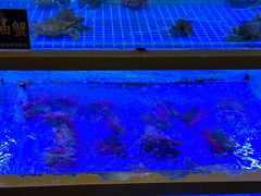 -膳富贵黄油蟹体验馆(欢乐港湾店)