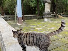 -四门塔风景区