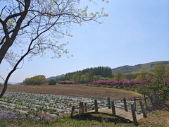 -大连铭湖国际观光牧场