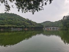 -李小龙乐园(顺德均安店)